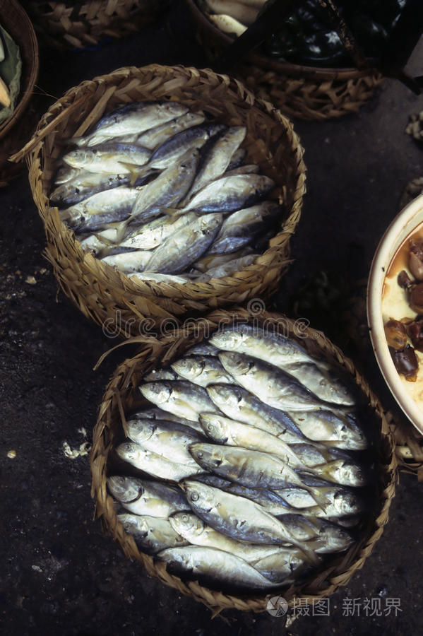 柬埔寨市场的鱼金边柬埔寨