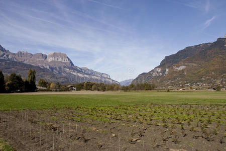 瑞士阿尔卑斯山的农场和草地