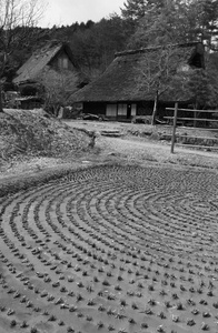 亚洲 木材 村庄 高山 日本 阿尔卑斯山 茅草 建筑 稻谷
