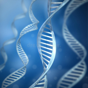 链条花dna链地牢里的黑暗细胞手机链dna链球和链dna 链dna链图解dna链