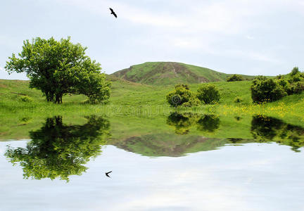 美丽的风景画