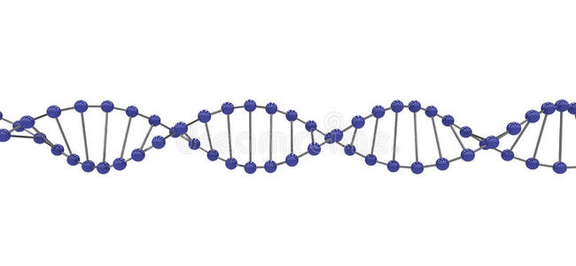 三维dna