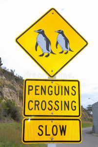 新西兰奥马鲁企鹅过路标志