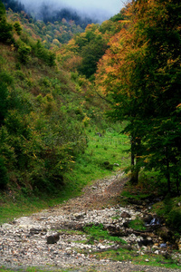 石化山路