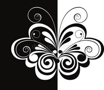 黑白蝴蝶图片图片大全