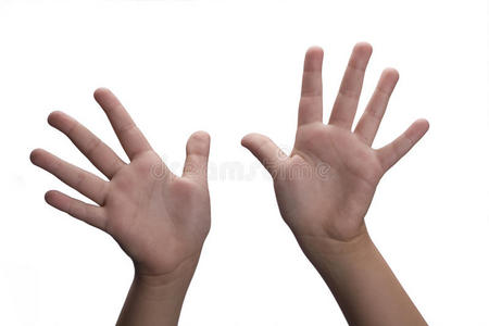 张开的手图片