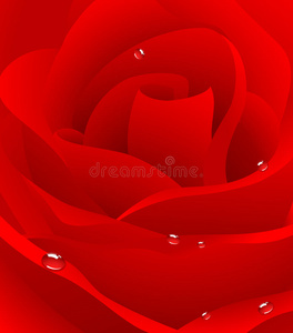 红色美丽的玫瑰色背景