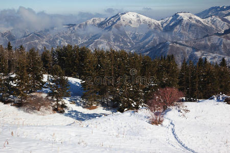 冬山步道