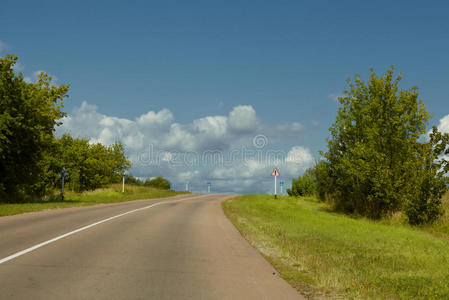 这条公路在树中间