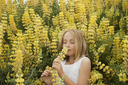 金发的小女孩闻着黄色的野花