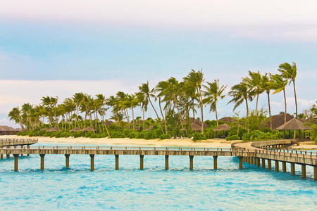 假日 海景 梦想 旅游业 天空 马尔代夫 海滩 阳光 托皮