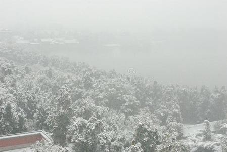 雾雪景观图片