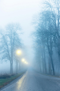 大雾中的大道图片