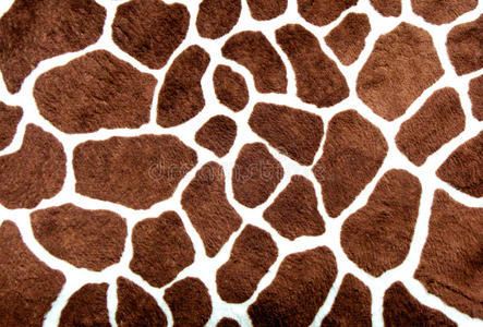 长颈鹿斑照片