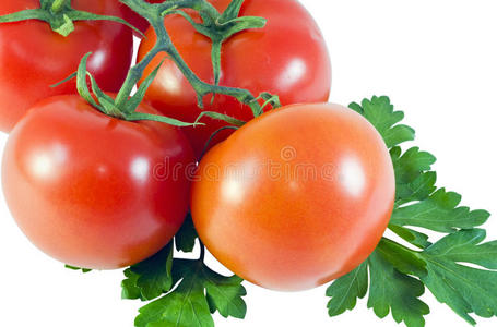 西红柿和欧芹叶