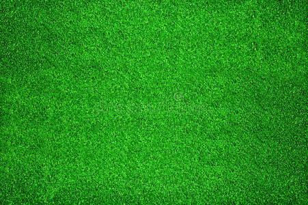 地毯草绿色人造草地毯照片