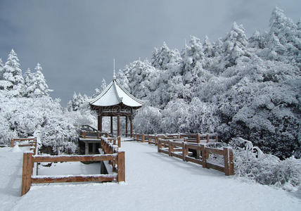 带雪的亭子图片