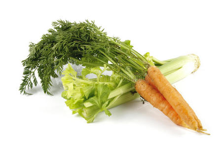 胡萝卜和芹菜