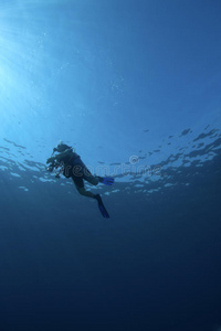 水下场景浮出水面的潜水者