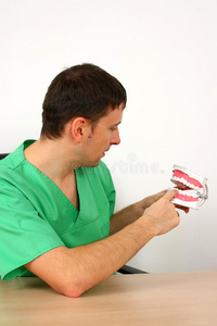 牙医展示牙齿的大复制模型图片