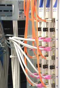 中心 硬件 以太网 补丁 电缆 电子学 因特网 行业 网络
