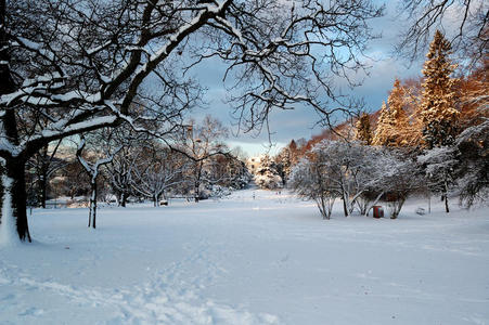 雪后城市花园