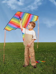 带风筝拼贴画的草地上的孩子
