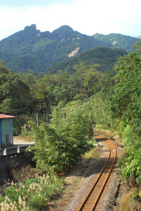 森林铁路。