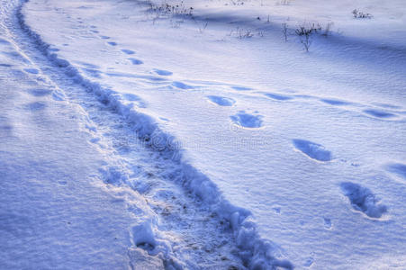 雪上的小路和台阶。hdri图像。