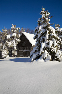 山屋