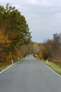 秋天的道路