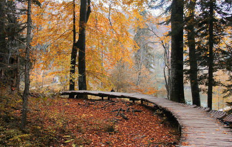 plitvice国家公园的木制小径