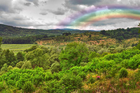 雨后彩虹景观