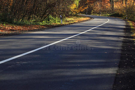 森林里的路