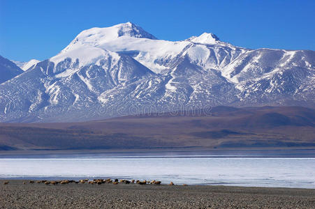 西藏雪山冰湖