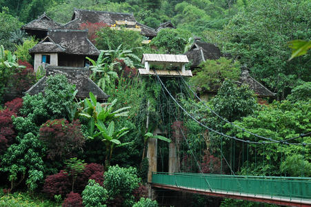 中国云南西双版纳的风景图片