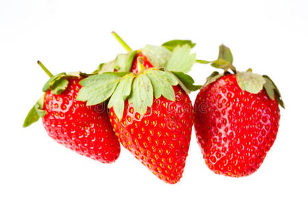 白底草莓浆果。