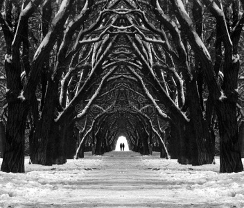 恐怖的大门神秘之路照片