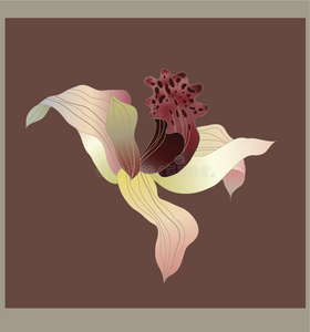 美丽的 卡片 框架 艺术品 分支 美女 水彩 植物学 兰花