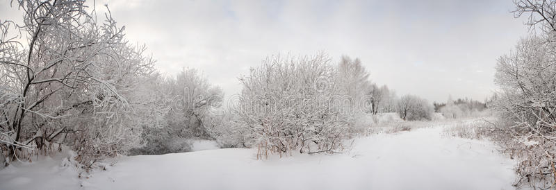 白雪皑皑