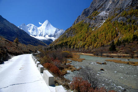 西藏 神山 风景 甘孜 植物 自然 高原 亚丁 特雷斯 扬麦