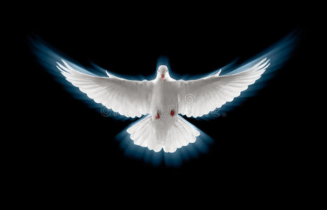 飞鸽传信图片-飞鸽传信素材-飞鸽传信插画-摄图新视界