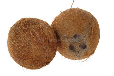 两个椰子