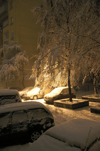 一场降雪中的冬季庭院。