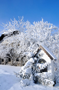 雪地农场