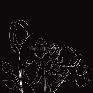 黑底白玫瑰