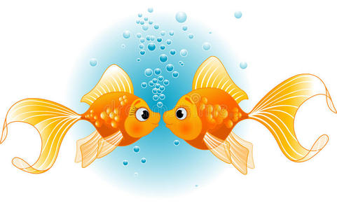 两条鱼相爱照片