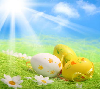 蓝色和红色的颜色爆裂巴塔雷蓝斑黄貂鱼看着你橘色背景云蝴蝶泡泡抽象