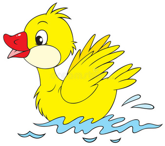 幼稚鸭小鸭照片