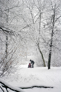 雪地公园